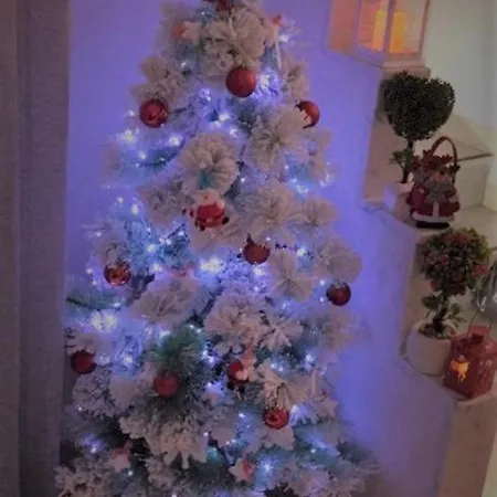 艾柯戴尔住宿加早餐旅馆 住宿加早餐酒店