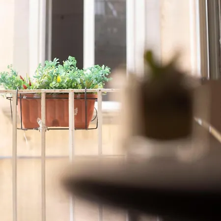住宿加早餐酒店 艾柯戴尔住宿加早餐旅馆 那不勒斯